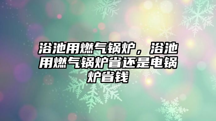 浴池用燃?xì)忮仩t，浴池用燃?xì)忮仩t省還是電鍋爐省錢