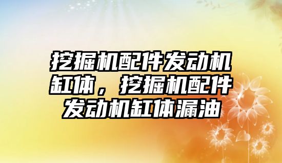 挖掘機配件發(fā)動機缸體，挖掘機配件發(fā)動機缸體漏油