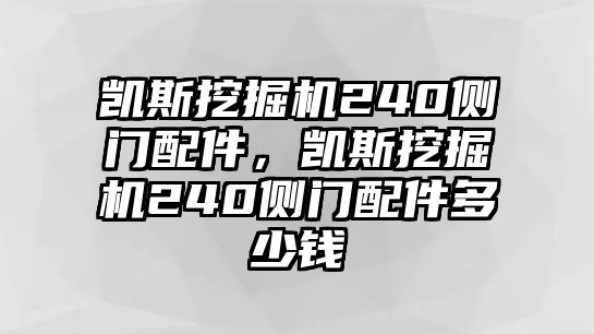 凱斯挖掘機(jī)240側(cè)門配件，凱斯挖掘機(jī)240側(cè)門配件多少錢