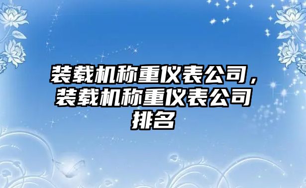 裝載機稱重儀表公司，裝載機稱重儀表公司排名