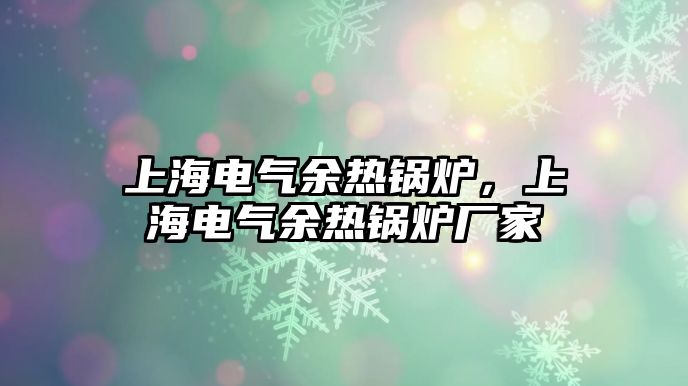 上海電氣余熱鍋爐，上海電氣余熱鍋爐廠家