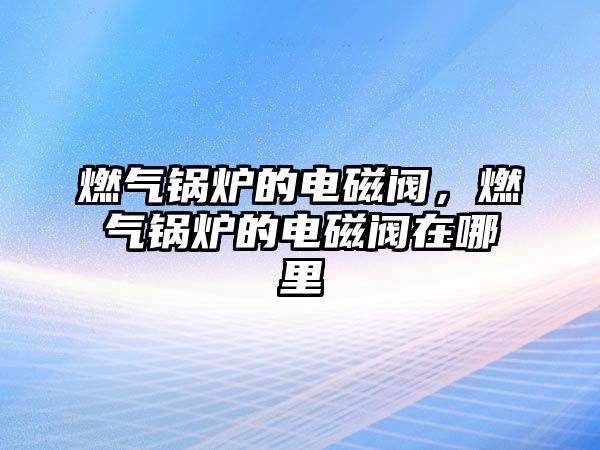 燃?xì)忮仩t的電磁閥，燃?xì)忮仩t的電磁閥在哪里