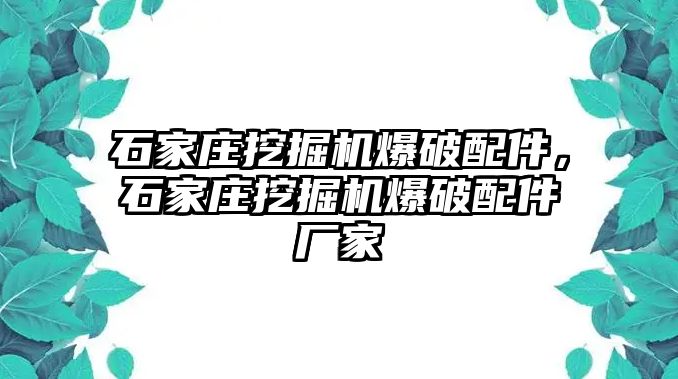 石家莊挖掘機(jī)爆破配件，石家莊挖掘機(jī)爆破配件廠家