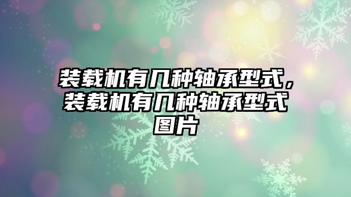 裝載機(jī)有幾種軸承型式，裝載機(jī)有幾種軸承型式圖片