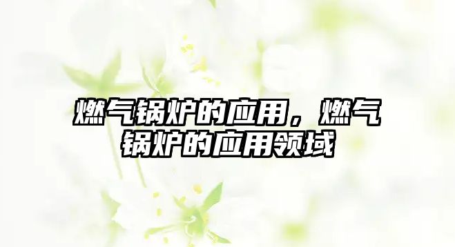 燃?xì)忮仩t的應(yīng)用，燃?xì)忮仩t的應(yīng)用領(lǐng)域