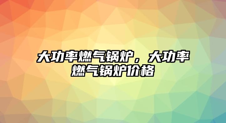 大功率燃?xì)忮仩t，大功率燃?xì)忮仩t價格