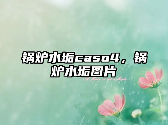 鍋爐水垢caso4，鍋爐水垢圖片