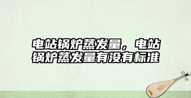 電站鍋爐蒸發(fā)量，電站鍋爐蒸發(fā)量有沒有標(biāo)準(zhǔn)