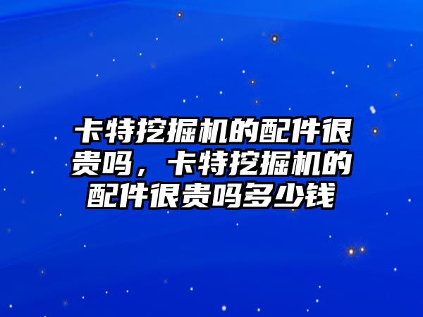 卡特挖掘機的配件很貴嗎，卡特挖掘機的配件很貴嗎多少錢