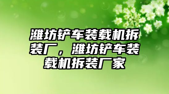 濰坊鏟車裝載機拆裝廠，濰坊鏟車裝載機拆裝廠家