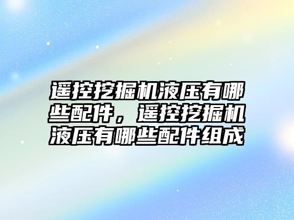 遙控挖掘機液壓有哪些配件，遙控挖掘機液壓有哪些配件組成