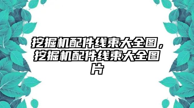 挖掘機配件線束大全圖，挖掘機配件線束大全圖片