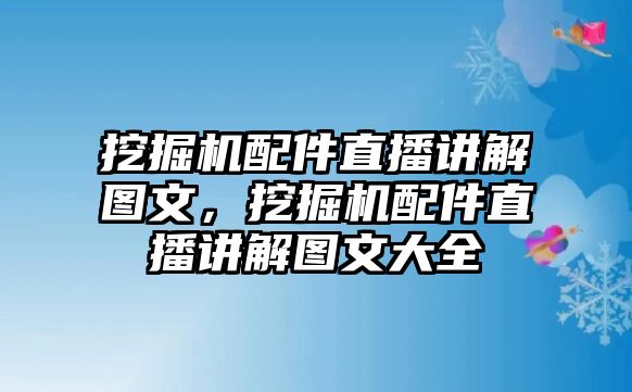 挖掘機(jī)配件直播講解圖文，挖掘機(jī)配件直播講解圖文大全