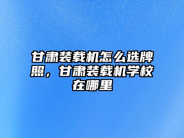 甘肅裝載機怎么選牌照，甘肅裝載機學校在哪里