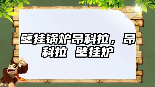 壁掛鍋爐昂科拉，昂科拉 壁掛爐