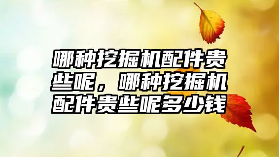 哪種挖掘機配件貴些呢，哪種挖掘機配件貴些呢多少錢