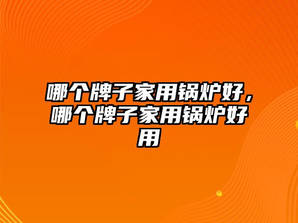 哪個(gè)牌子家用鍋爐好，哪個(gè)牌子家用鍋爐好用