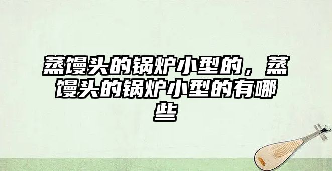 蒸饅頭的鍋爐小型的，蒸饅頭的鍋爐小型的有哪些