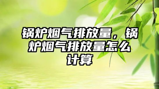 鍋爐煙氣排放量，鍋爐煙氣排放量怎么計算