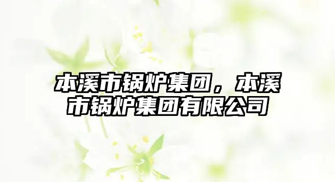 本溪市鍋爐集團(tuán)，本溪市鍋爐集團(tuán)有限公司