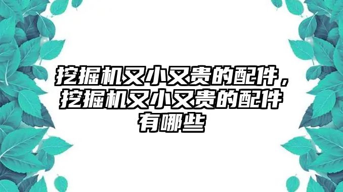 挖掘機(jī)又小又貴的配件，挖掘機(jī)又小又貴的配件有哪些