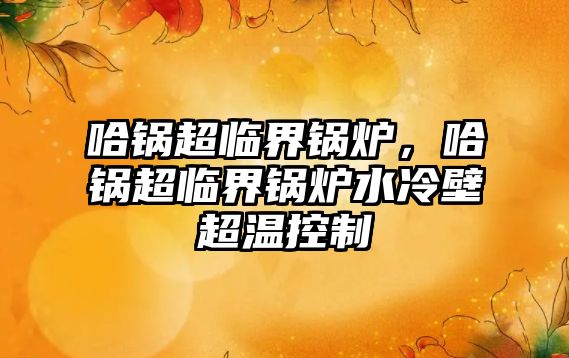 哈鍋超臨界鍋爐，哈鍋超臨界鍋爐水冷壁超溫控制