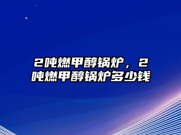 2噸燃甲醇鍋爐，2噸燃甲醇鍋爐多少錢(qián)