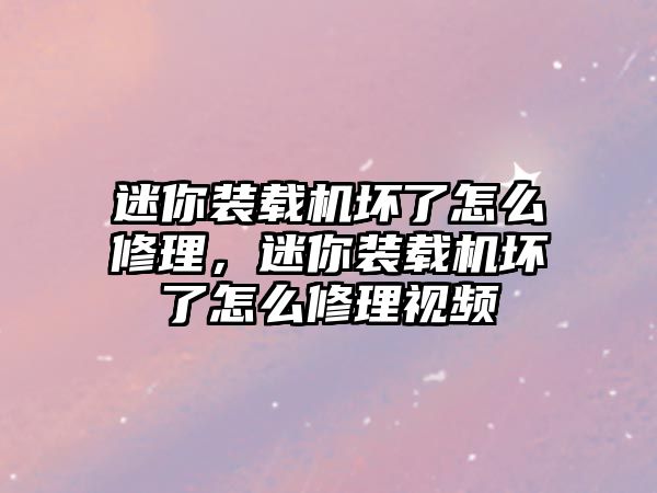 迷你裝載機(jī)壞了怎么修理，迷你裝載機(jī)壞了怎么修理視頻