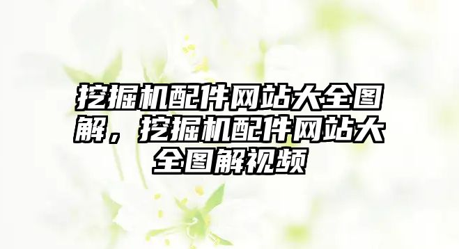 挖掘機配件網站大全圖解，挖掘機配件網站大全圖解視頻