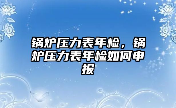 鍋爐壓力表年檢，鍋爐壓力表年檢如何申報