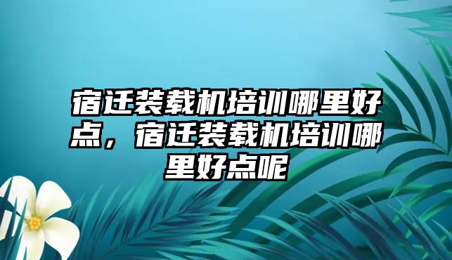 宿遷裝載機培訓哪里好點，宿遷裝載機培訓哪里好點呢