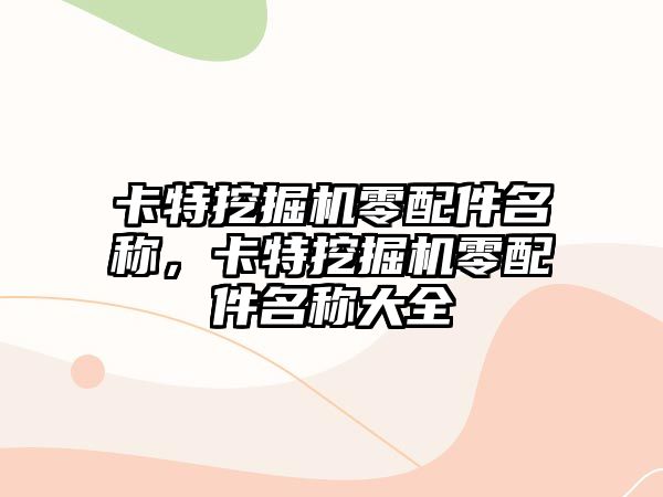 卡特挖掘機零配件名稱，卡特挖掘機零配件名稱大全