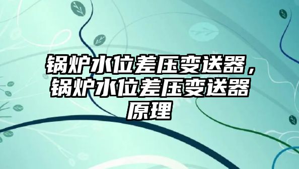 鍋爐水位差壓變送器，鍋爐水位差壓變送器原理