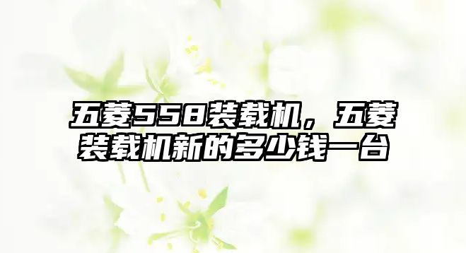 五菱558裝載機(jī)，五菱裝載機(jī)新的多少錢一臺(tái)