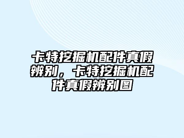 卡特挖掘機(jī)配件真假辨別，卡特挖掘機(jī)配件真假辨別圖