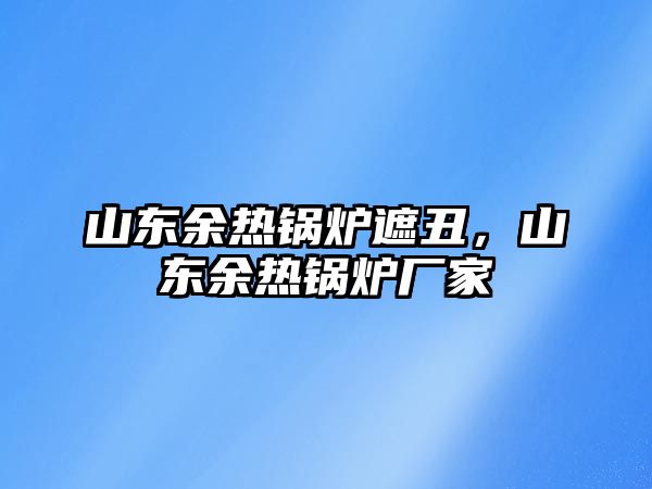 山東余熱鍋爐遮丑，山東余熱鍋爐廠家