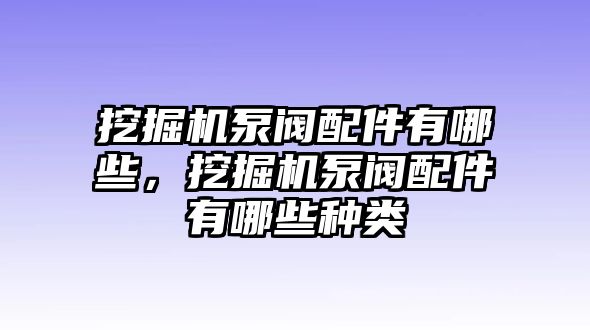 挖掘機泵閥配件有哪些，挖掘機泵閥配件有哪些種類