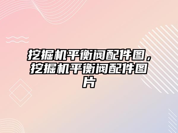 挖掘機平衡閥配件圖，挖掘機平衡閥配件圖片