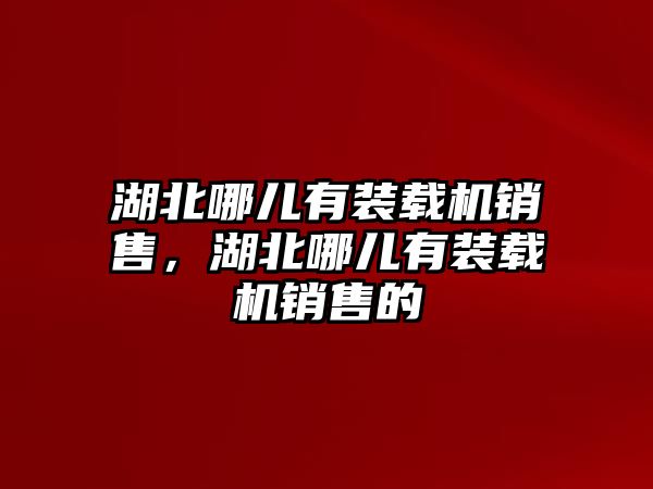 湖北哪兒有裝載機(jī)銷售，湖北哪兒有裝載機(jī)銷售的