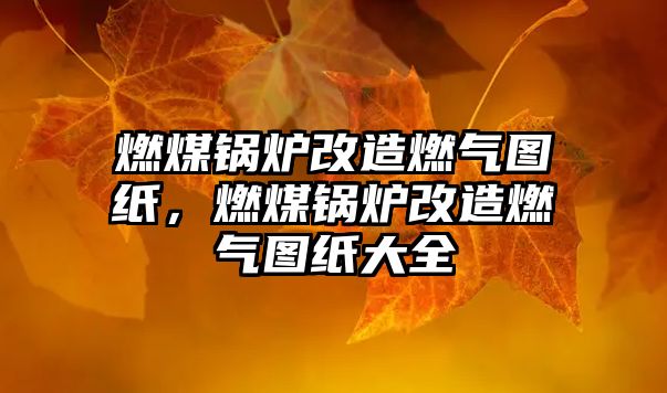 燃煤鍋爐改造燃?xì)鈭D紙，燃煤鍋爐改造燃?xì)鈭D紙大全