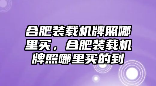 合肥裝載機牌照哪里買，合肥裝載機牌照哪里買的到