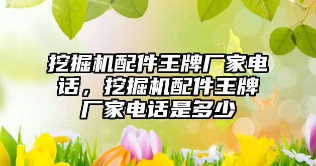 挖掘機配件王牌廠家電話，挖掘機配件王牌廠家電話是多少