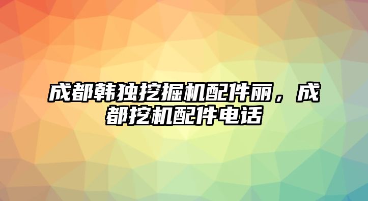 成都韓獨挖掘機配件麗，成都挖機配件電話