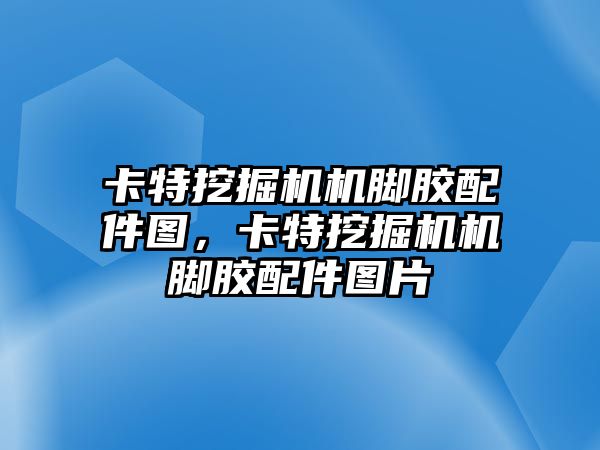 卡特挖掘機(jī)機(jī)腳膠配件圖，卡特挖掘機(jī)機(jī)腳膠配件圖片