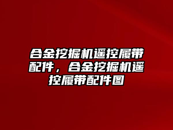 合金挖掘機遙控履帶配件，合金挖掘機遙控履帶配件圖