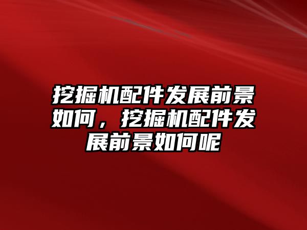 挖掘機配件發(fā)展前景如何，挖掘機配件發(fā)展前景如何呢