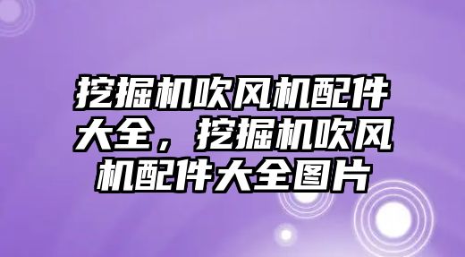 挖掘機吹風(fēng)機配件大全，挖掘機吹風(fēng)機配件大全圖片