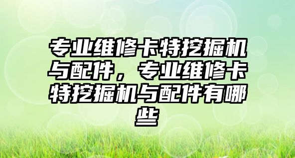 專業(yè)維修卡特挖掘機與配件，專業(yè)維修卡特挖掘機與配件有哪些