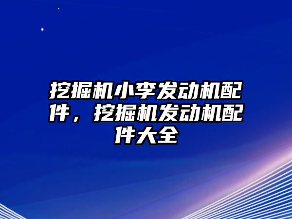 挖掘機小李發(fā)動機配件，挖掘機發(fā)動機配件大全