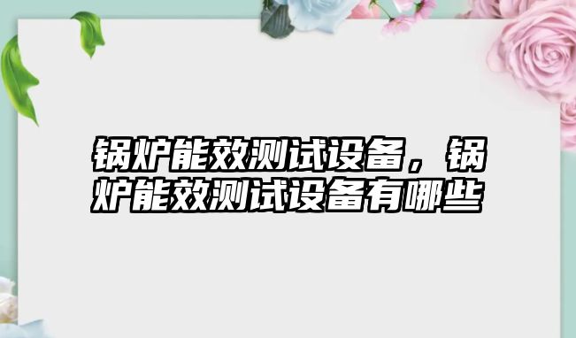 鍋爐能效測試設備，鍋爐能效測試設備有哪些